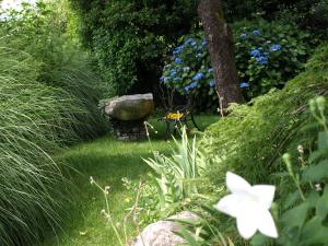un giardino con fiori blu e una panca di pietra di Charme Hotel Barbatè a Tegna