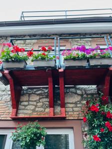 Fotografie z fotogalerie ubytování Hotel Goldener Taler Lörrach v destinaci Lörrach