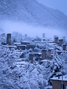 Mestiakhedi durante l'inverno
