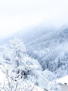 Mestiakhedi durante l'inverno