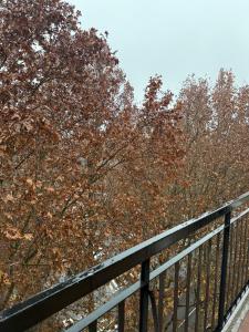 a fence next to trees with autumn leaves at Seventh floor 5 min from San Siro in Milan