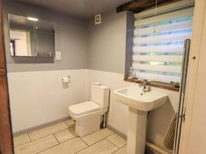 un bagno con un water e un lavandino di Barn Owl Cottage a Penrith Altre 28 foto