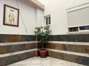 Fotografie z fotogalerie ubytování Hotel Quitagolpe v destinaci Jerez de la Frontera