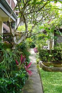 ogród z drzewem, roślinami i chodnikiem w obiekcie Chandra House Ubud w mieście Ubud
