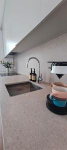 a kitchen counter with a sink and a sink at Living Gent in Ghent +10 photos
