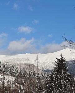 a snow covered mountain with trees in the foreground at Гірські будиночки in Zhdenievo +103 photos