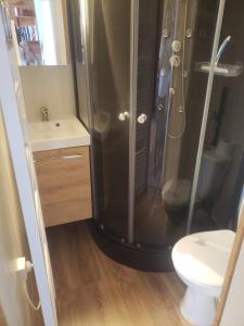 a bathroom with a shower and a toilet at Superbe Studio Ambiance Chalet in Ustou