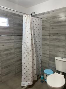 a bathroom with a toilet and a shower curtain at El Rincon de las Marias Casa en Planta Alta in San Lorenzo +16 photos