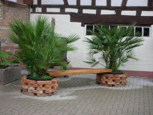 two palm trees in pots next to a bench at Jakobshof in Freckenfeld