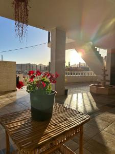 a potted plant sitting on a wooden table on a balcony at Aseel bedoul in Petra