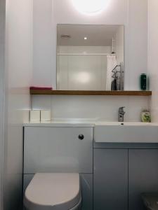 a bathroom with a sink and a toilet and a mirror at Afan Forest BunkHouse - Gallery Apartment in Glyncorrwg