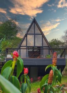 Vườn quanh Glamping el Refugio, Bitaco Valle