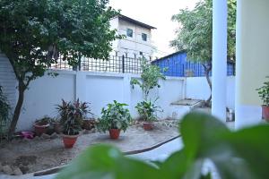 a courtyard with potted plants in front of a building at Jai Villa homestay in Prayagraj +3 photos