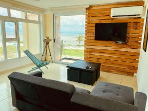 TV a/nebo společenská místnost v ubytování Vista al mar, Mini alberca y roof garden PRIVADO!