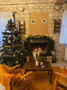 Fotografie z fotogalerie ubytování Το Κάστρο v destinaci Konitsa