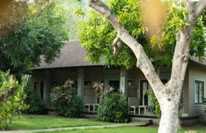 a house with a tree in front of it at Bali Gecko Homestay in Pemuteran