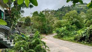 a road leading to a house in a forest at Phuchada Residence in Nai Yang Beach