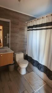 ein Badezimmer mit Toilette, Waschbecken und Dusche in der Unterkunft Hermosa casa en Puerto Varas - Ensenada in Calbuco Volcano