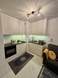 Kuchyňa alebo kuchynka v ubytovaní Vintage Kącik Apartment