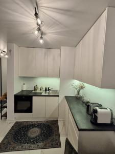 Kuchyňa alebo kuchynka v ubytovaní Vintage Kącik Apartment