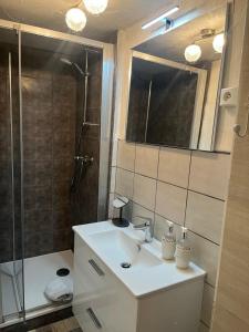 un baño con lavabo y ducha en Les Appartements Le Saint Pierre Barcelonnette, en Barcelonnette 26 fotos más