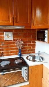 Dapur atau dapur kecil di Cosy Balkan View +4 gambar