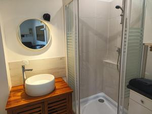 ein Badezimmer mit Waschbecken und Dusche in der Unterkunft Petit studio proche centre-ville in Vitré