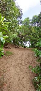 Loodusmaastik puhkemaja lähedal +3 fotot