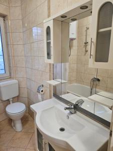 a bathroom with a sink and a toilet and a mirror at Velike Šume Apartment in Pale +8 photos