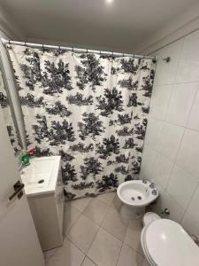 a bathroom with a shower curtain and a toilet at Cozy Studio in the heart of Recoleta in Buenos Aires