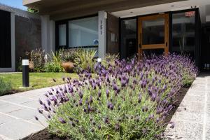 Portales de la Patagonia Apartments外面的花园