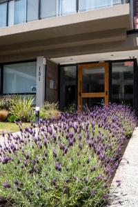 Portales de la Patagonia Apartments外面的花园