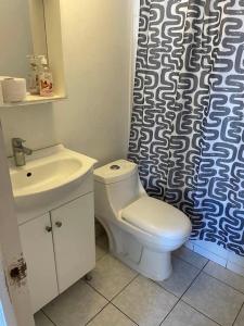 a bathroom with a toilet and a sink and a shower curtain at DepartamentoSantaInes in Viña del Mar +7 photos
