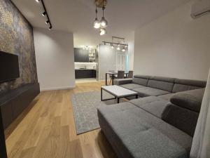 ベオグラードにあるPark Vila New Luxury apartments with garageのソファとテーブルのあるリビングルーム