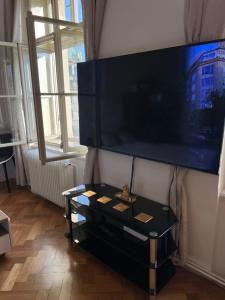Televízia a/alebo spoločenská miestnosť v ubytovaní Wenceslas square apartment 150 m2
