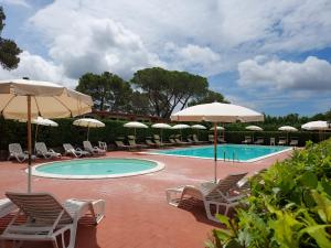 a swimming pool with chairs and umbrellas at PICCI HOUSE in Pomaia