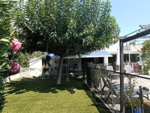 a tree in a yard next to a fence at Bas de villa moderne avec piscine in Fréjus