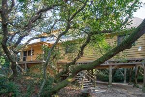 ein Haus, über dessen Vorderseite sich ein Baum neigt in der Unterkunft Ocean Breezes Historic Home with Creek Dock in Pawleys Island
