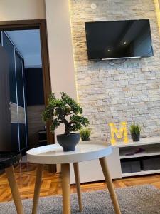 TV a/nebo společenská místnost v ubytování LaKop Apartman + 4 fotografie