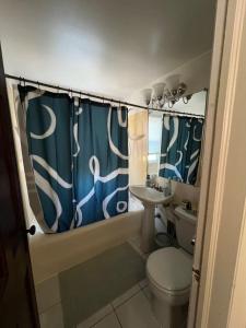 a bathroom with a sink and a toilet and a shower curtain at Cozy Gem King Bunk Beds Near Major Highways Sleep6 in Lincoln Park