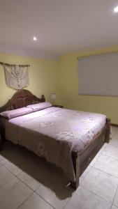 ビージャ・ヒアルディノにあるCasa de huéspedes con pileta.のベッドルーム1室(プロジェクションスクリーン付きの大型ベッド1台付)