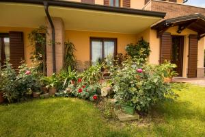 una casa con flores y plantas en el patio en B&B La Dimora delle Calendule, en Virgilio