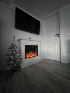 un soggiorno con camino, TV e albero di Natale di ARY Montan a Petroşani