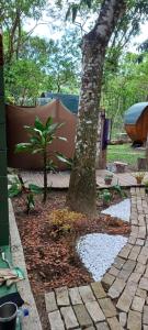 a tree in a yard next to a brick walkway at Glamping Cabanas do Estaleiro in Balneário Camboriú
