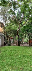 a tree in the middle of a field of grass at Glamping Cabanas do Estaleiro in Balneário Camboriú