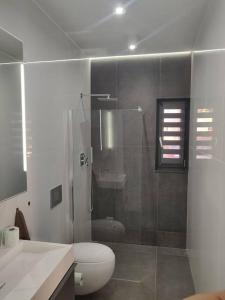 ein Badezimmer mit Dusche, Toilette und Waschbecken in der Unterkunft 7 stars in Środa Śląska + 17 Fotos