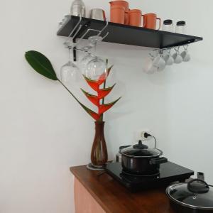 a vase with a plant on a counter with a shelf at Studio7 Terra prox Centro Paraty in Paraty