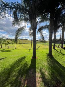 a group of palm trees in a field of grass at Pousada Bonetti Quarto 1 in Santa Rosa