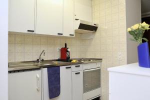 Kuchyň nebo kuchyňský kout v ubytování Ferienwohnung C13