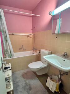 Koupelna v ubytování Appartement-Siviez